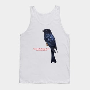 Square-tailed Drongo-Cucko | Surniculus lugubris Tank Top